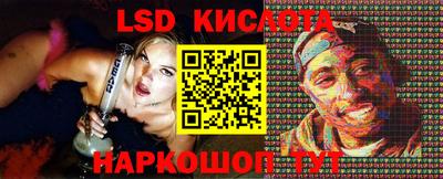 дживик Можга