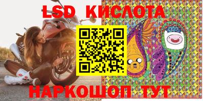 дживик Можга