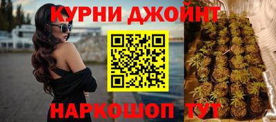 дживик Можга