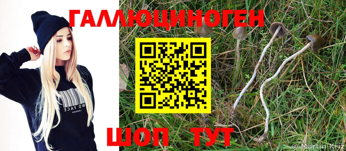 Псилоцибиновые грибы Magic Shrooms  Галлюциногенные грибы прущие грибы  Артёмовский  Вход с VPN 