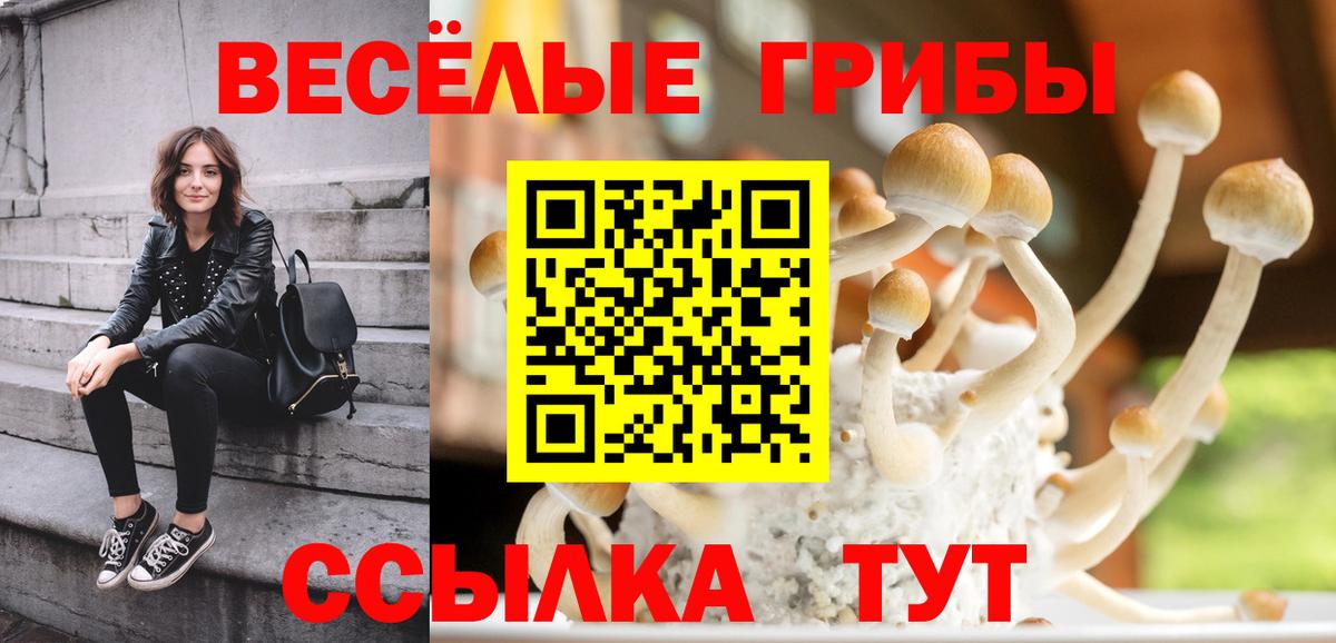 Галлюциногенные грибы Cubensis Артёмовский